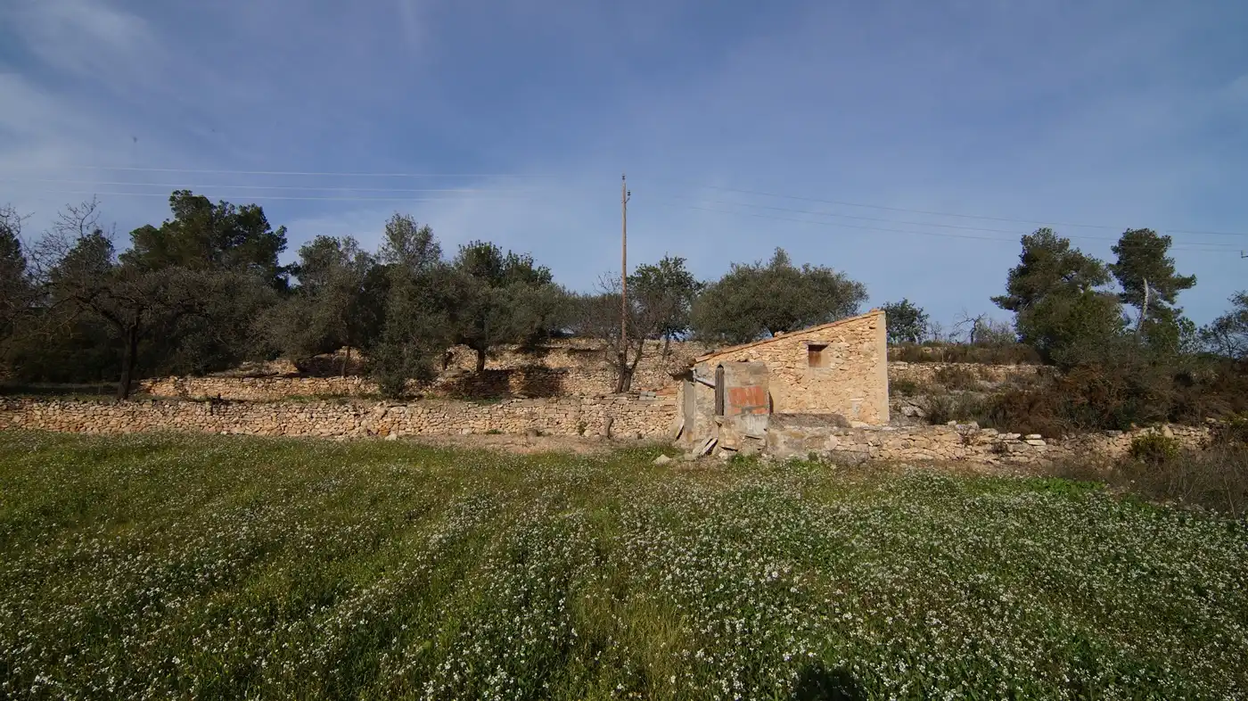 Terrain rustique à vendre à Rasquera, imagen 6