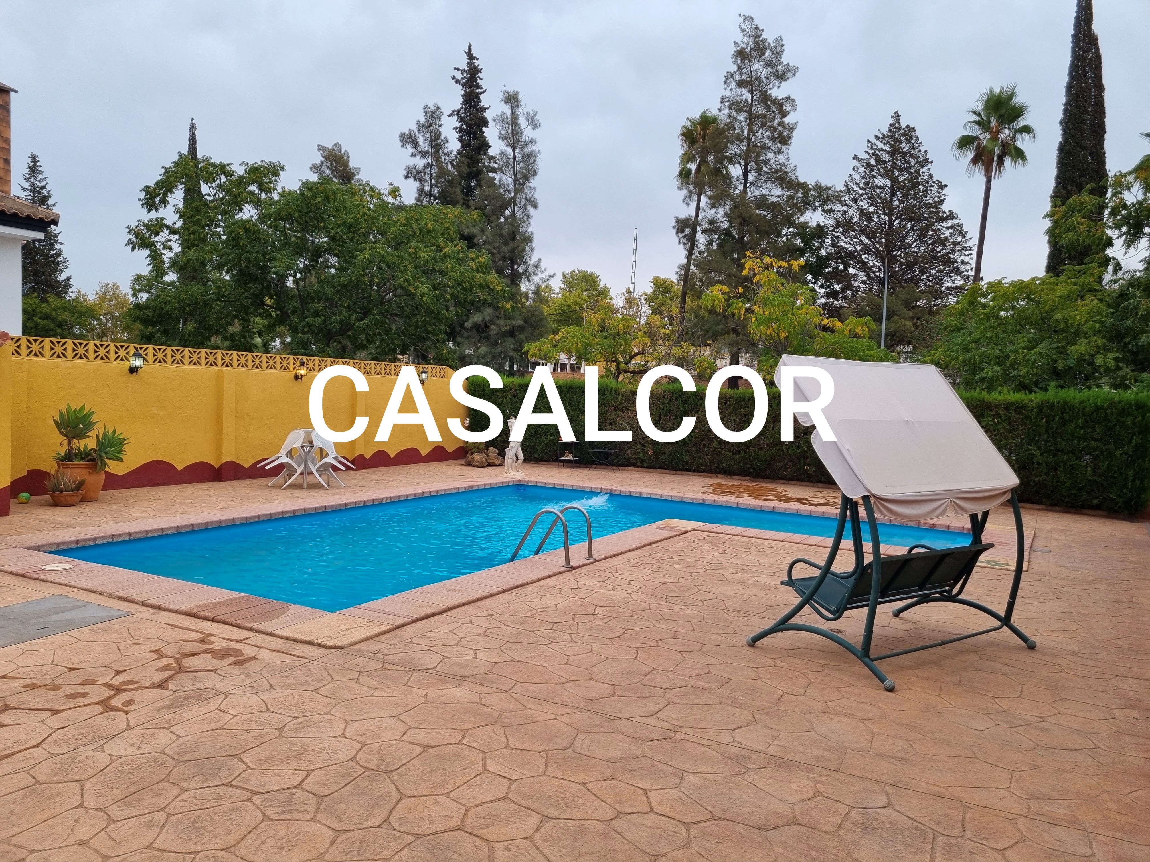 Piscina de Casa o xalet de lloguer en Mairena del Alcor amb Aire condicionat, Jardí privat i Traster