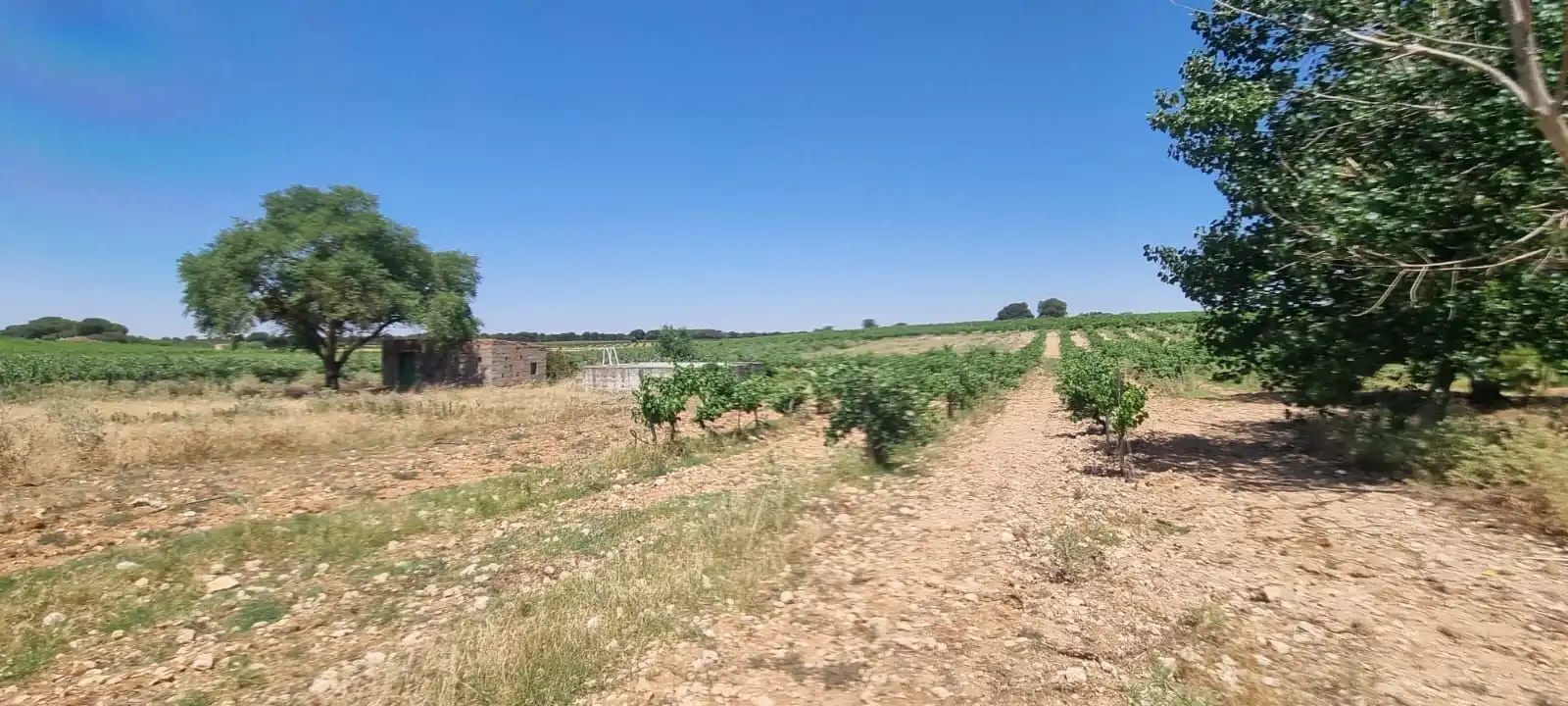 Casa rústica en venda a Villarrobledo, imagen 52