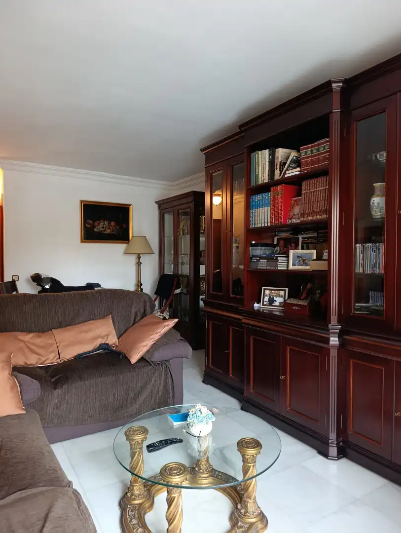 Living room of Flat for sale in Sevilla  with Furnished and Balcony