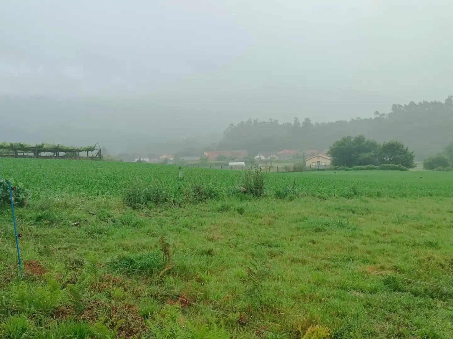 Terreno en venta en Polígono 503 Parcela 311 SAN MAMEDE DE PIÑEIRO. , 503, Cuntis