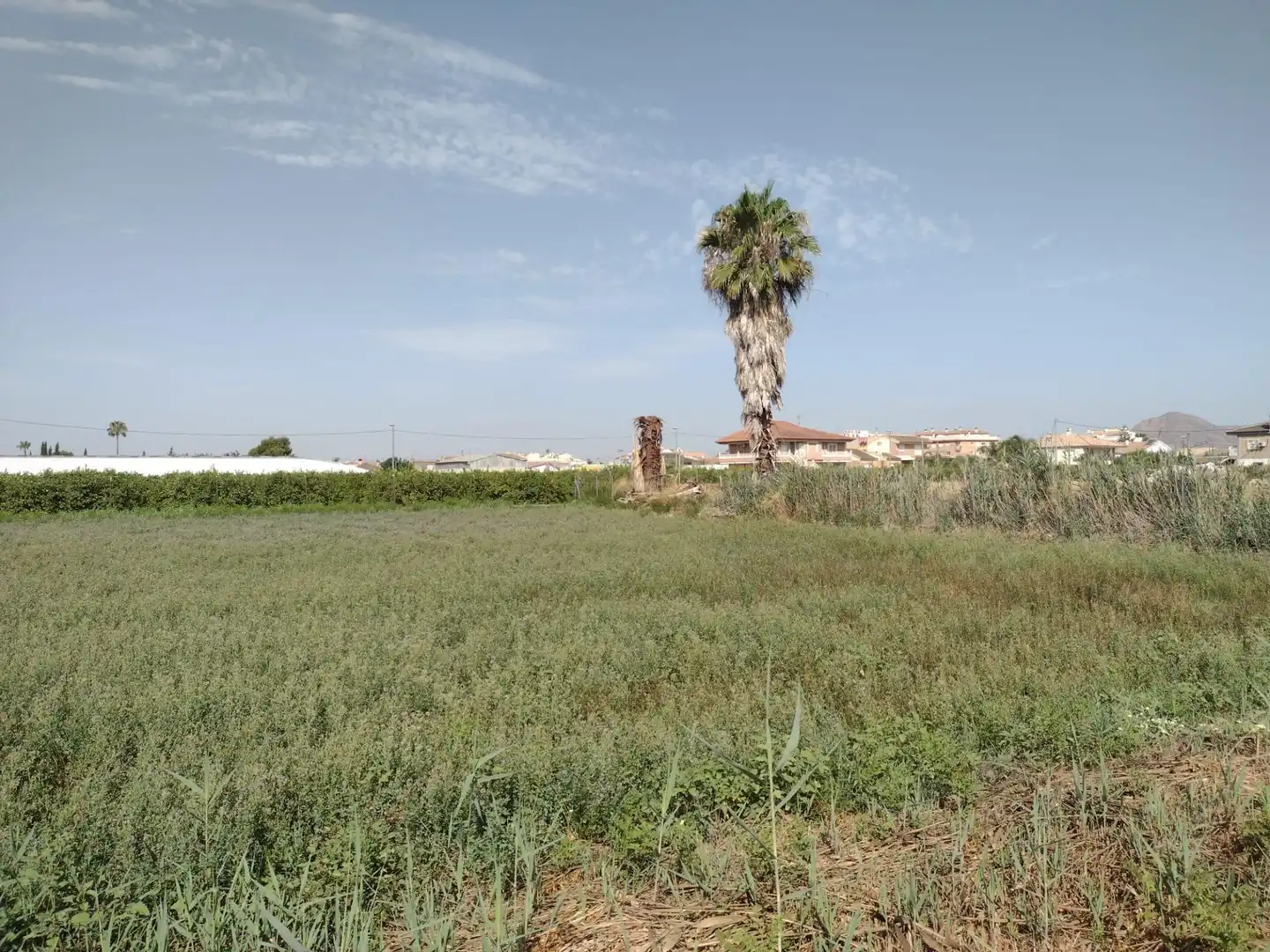 Terreny residencial en venda a Calle Vereda de Enmedio