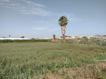 Terreno residencial en venta en Calle Vereda de Enmedio