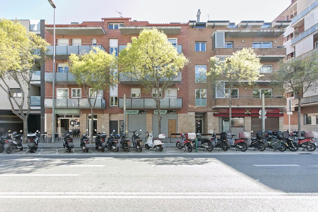 Premises to rent in C/ Real, Centre