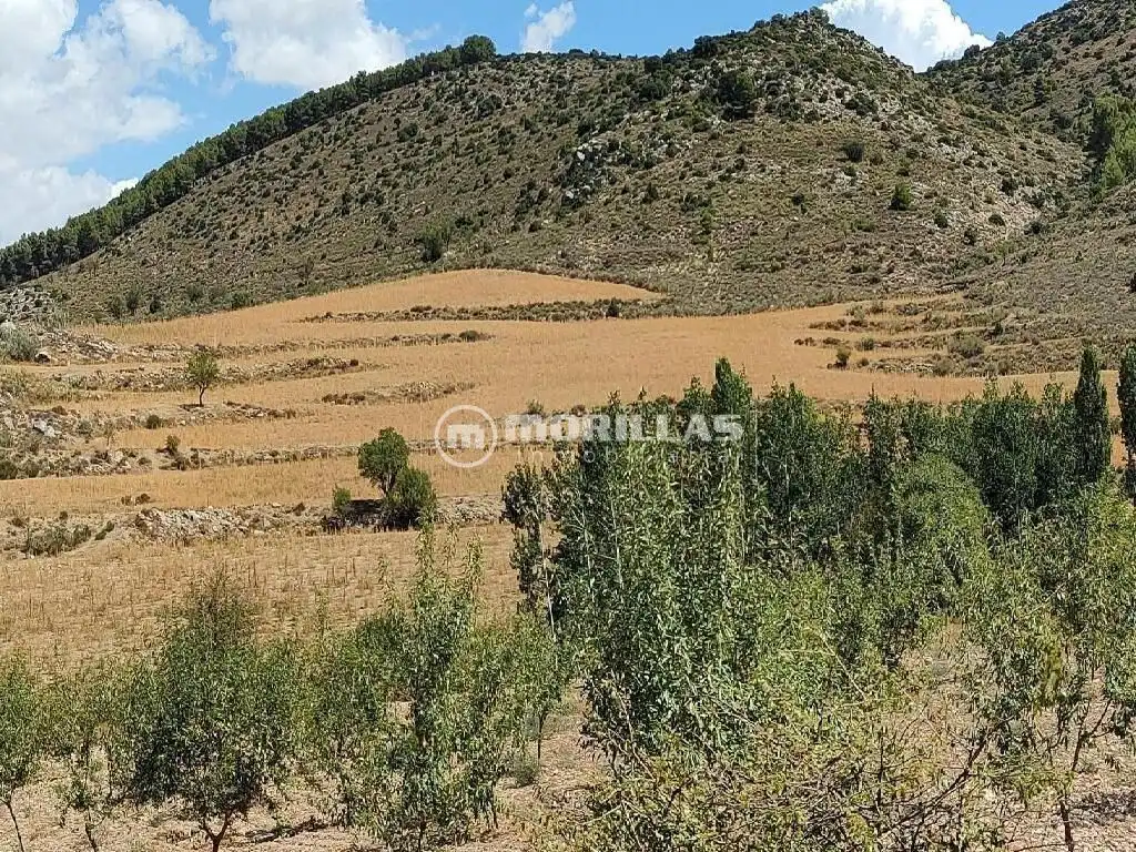 Land for sale in Puebla de Don Fadrique