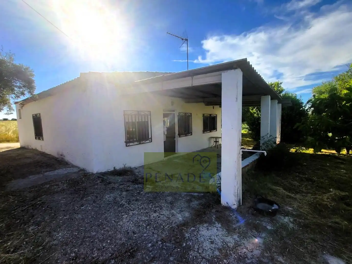 Vista exterior de Casa o chalet en venta en Ontinyent con Jardín privado