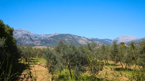 Photo 2 of Country house to rent in Selva, Illes Balears