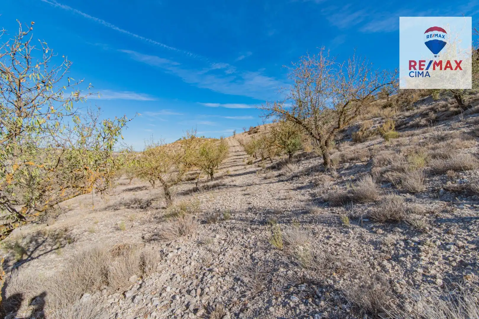 Terreno en venta en Santa Cruz del Comercio