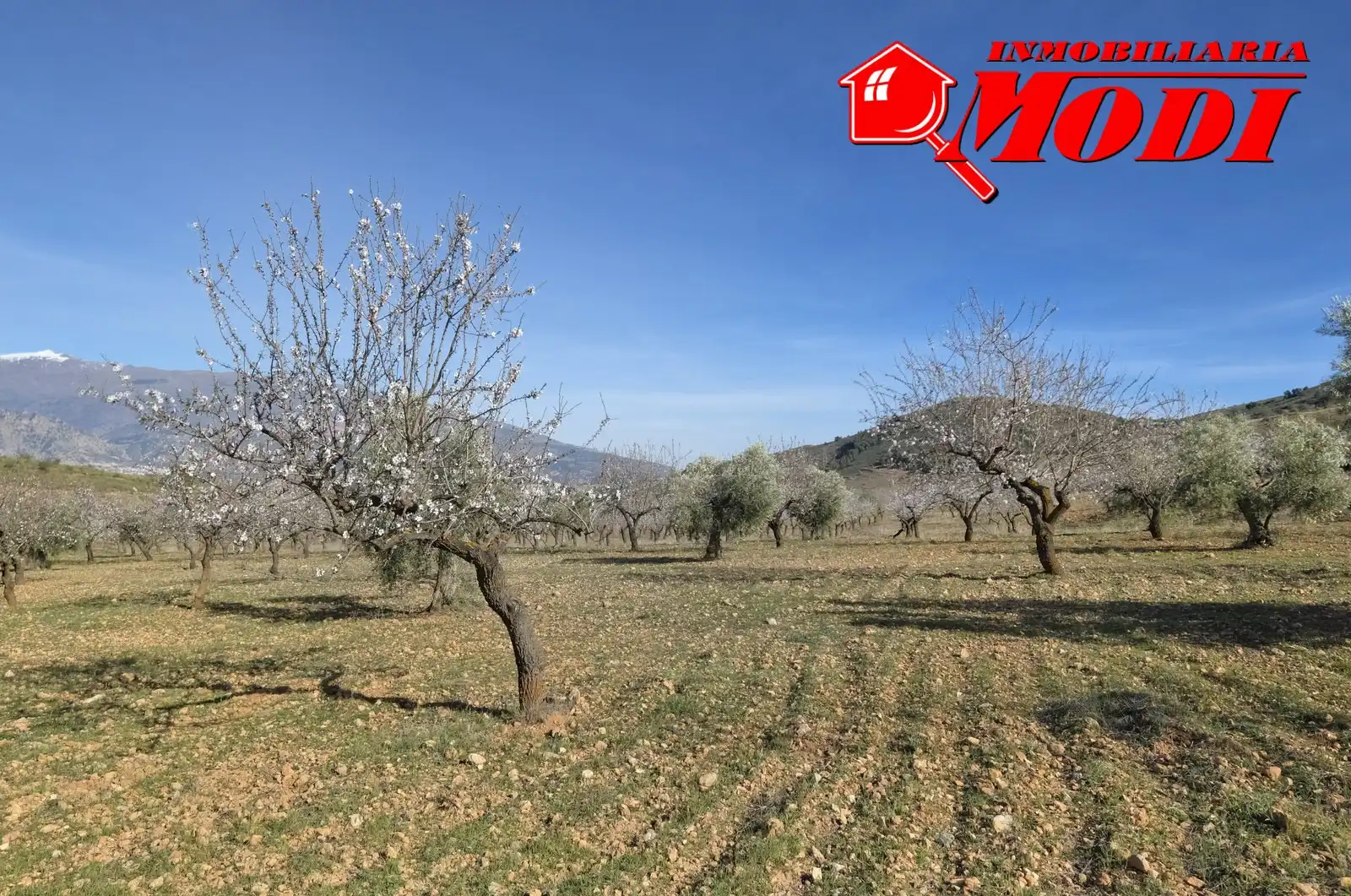 Terreni e lotti in vendita a El Valle, imagen 28