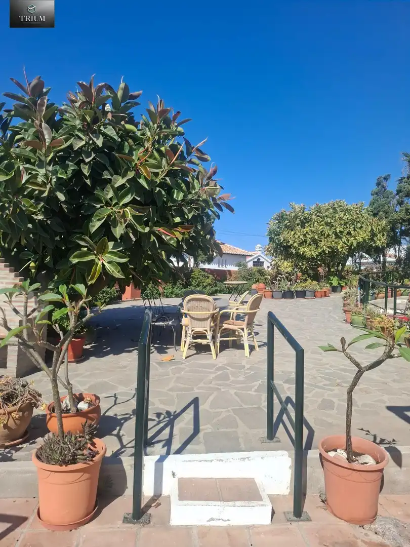 Terrassa de Casa o xalet en venda en Almuñécar
