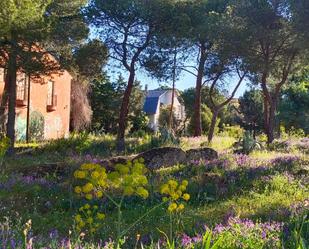 Jardí de Residencial en venda en Collado Villalba