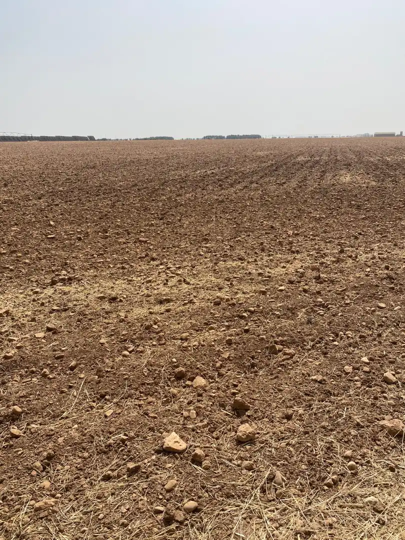 Rural land for sale in Calle Juan de Zúñiga, imagen 4