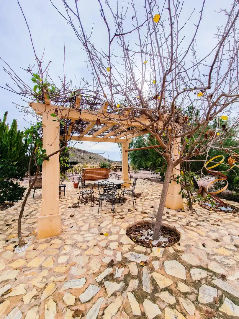 Villa mit Pool zum Verkauf in Crevillent, imagen 44