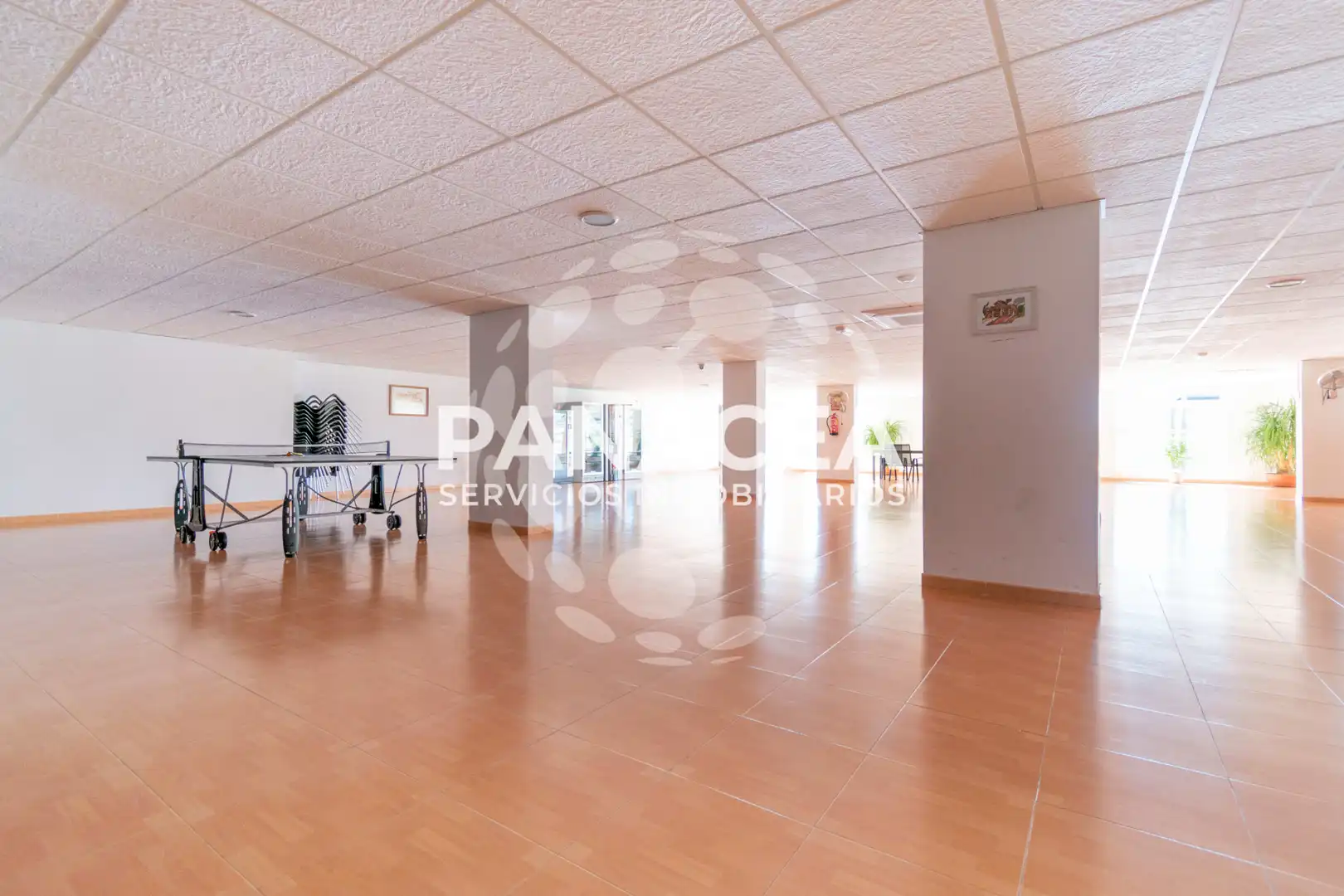Appartamento con terrazza in vendita a La Envía, imagen 43