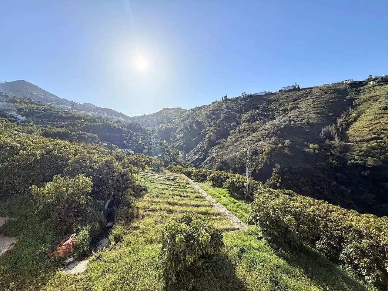 Exterior view of Land for sale in Canillas de Albaida