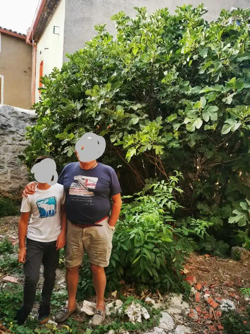 Jardí de Casa adosada en venda en Tabanera de Cerrato