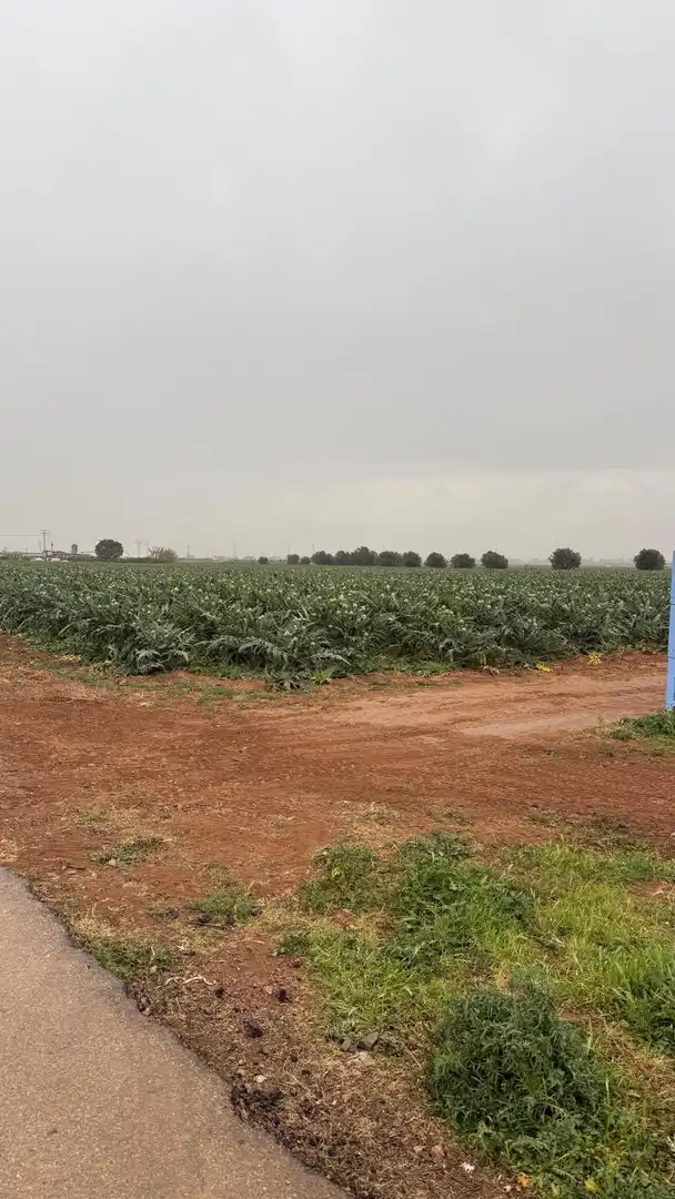 Terreno en venta en Murcia