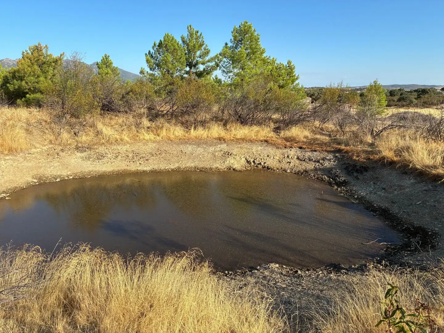 Rural land for sale in Puerto de San Vicente, imagen 3