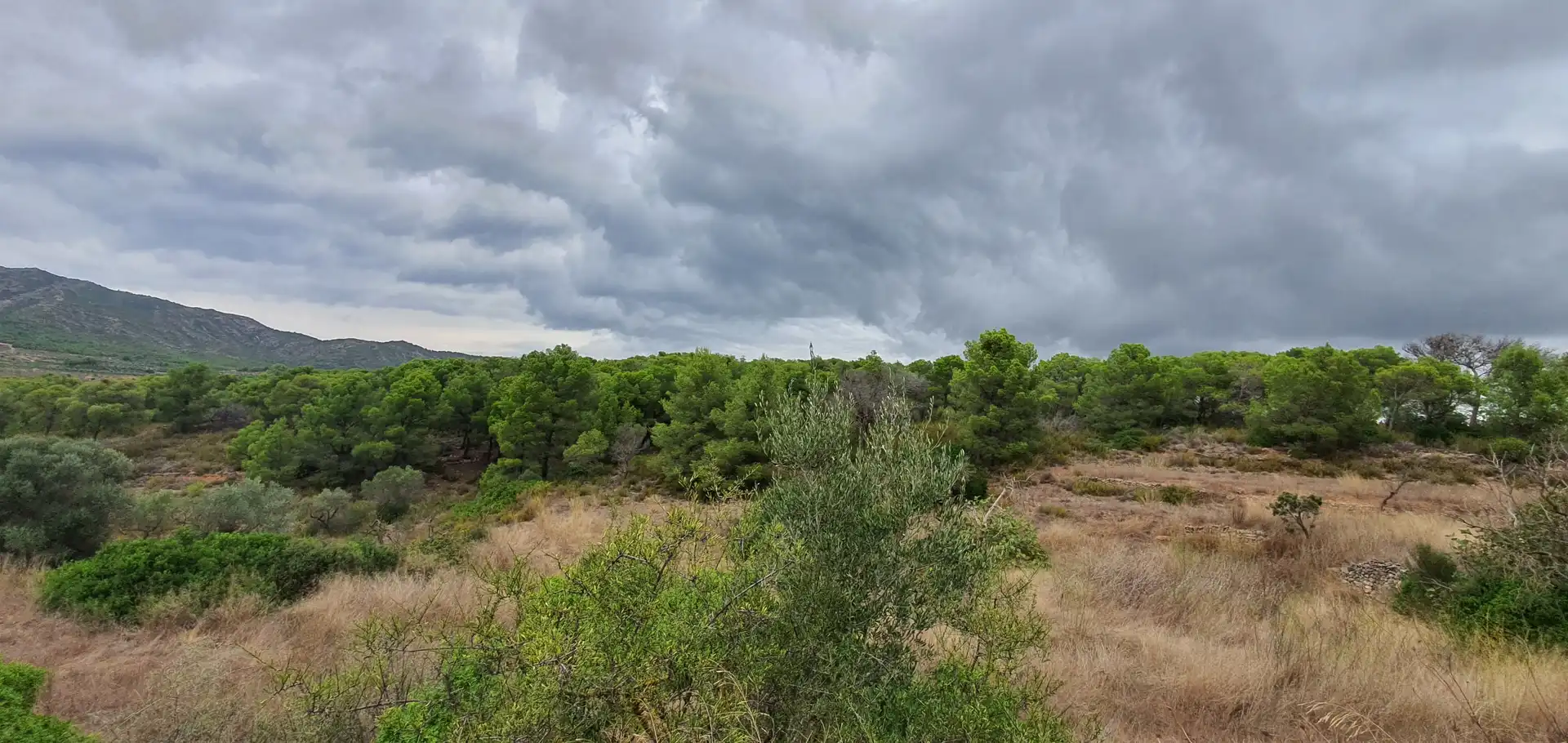 Rustikales Grundstück zum Verkauf in El Pinell de Brai, imagen 17
