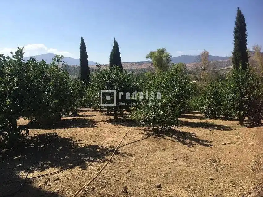 Casa amb piscina en venda a Pizarra, imagen 30