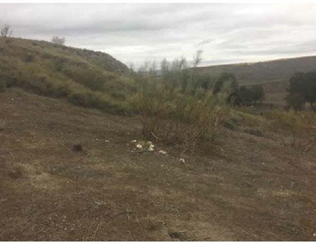 Residencial en venta en Illana