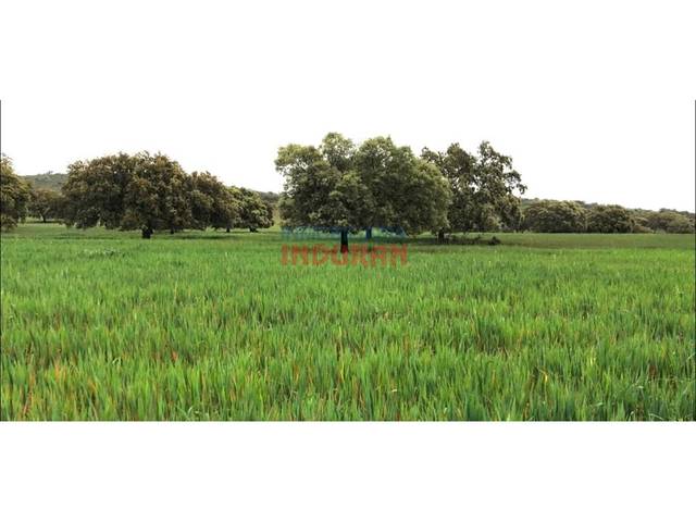 Casa-chalet en Venta en Hornachos