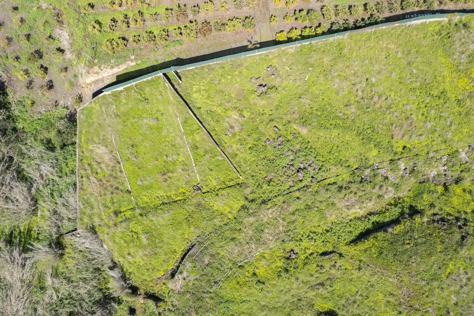 Rustikales Grundstück zum Verkauf in C. Viñas, 28 28, imagen 2