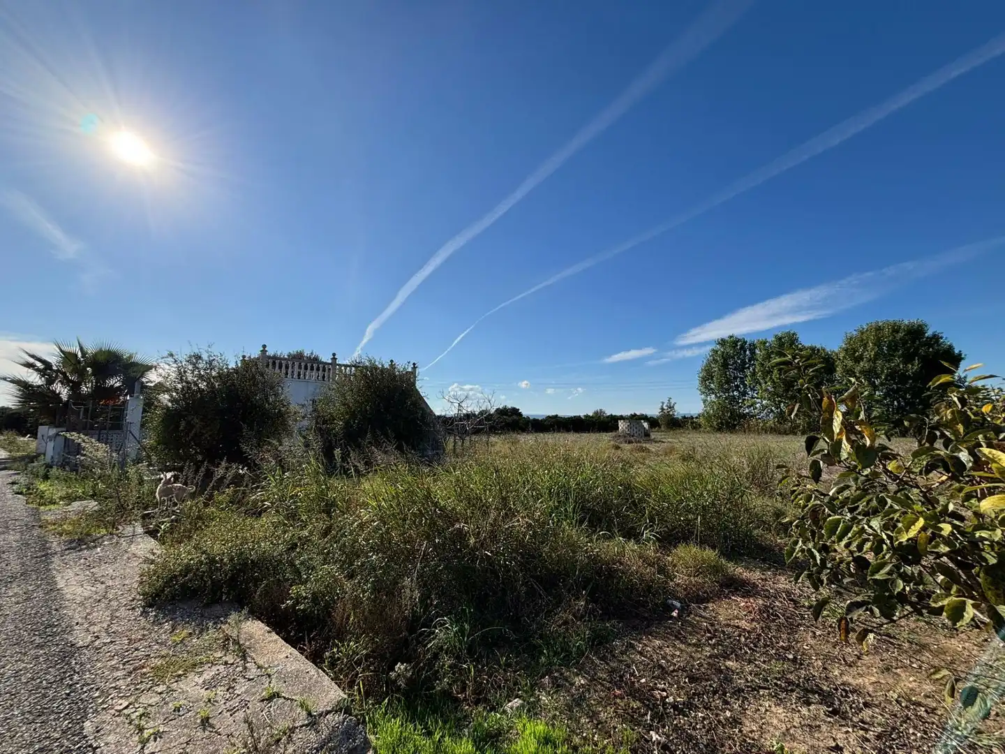 Finca rústica en venta en Carcaixent con Jardín privado y Terraza