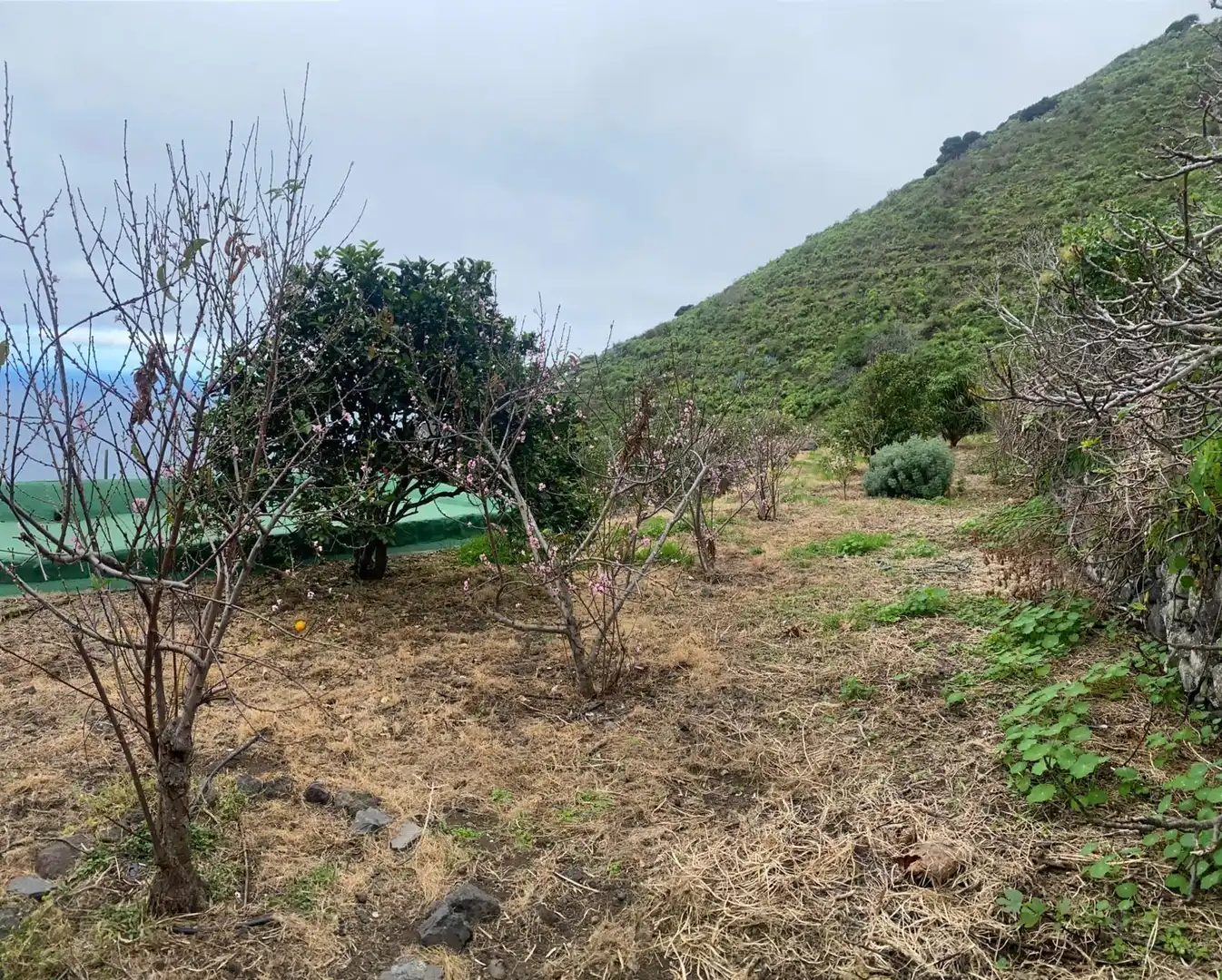 Casa o xalet en venda en Frontera amb Jardí privat