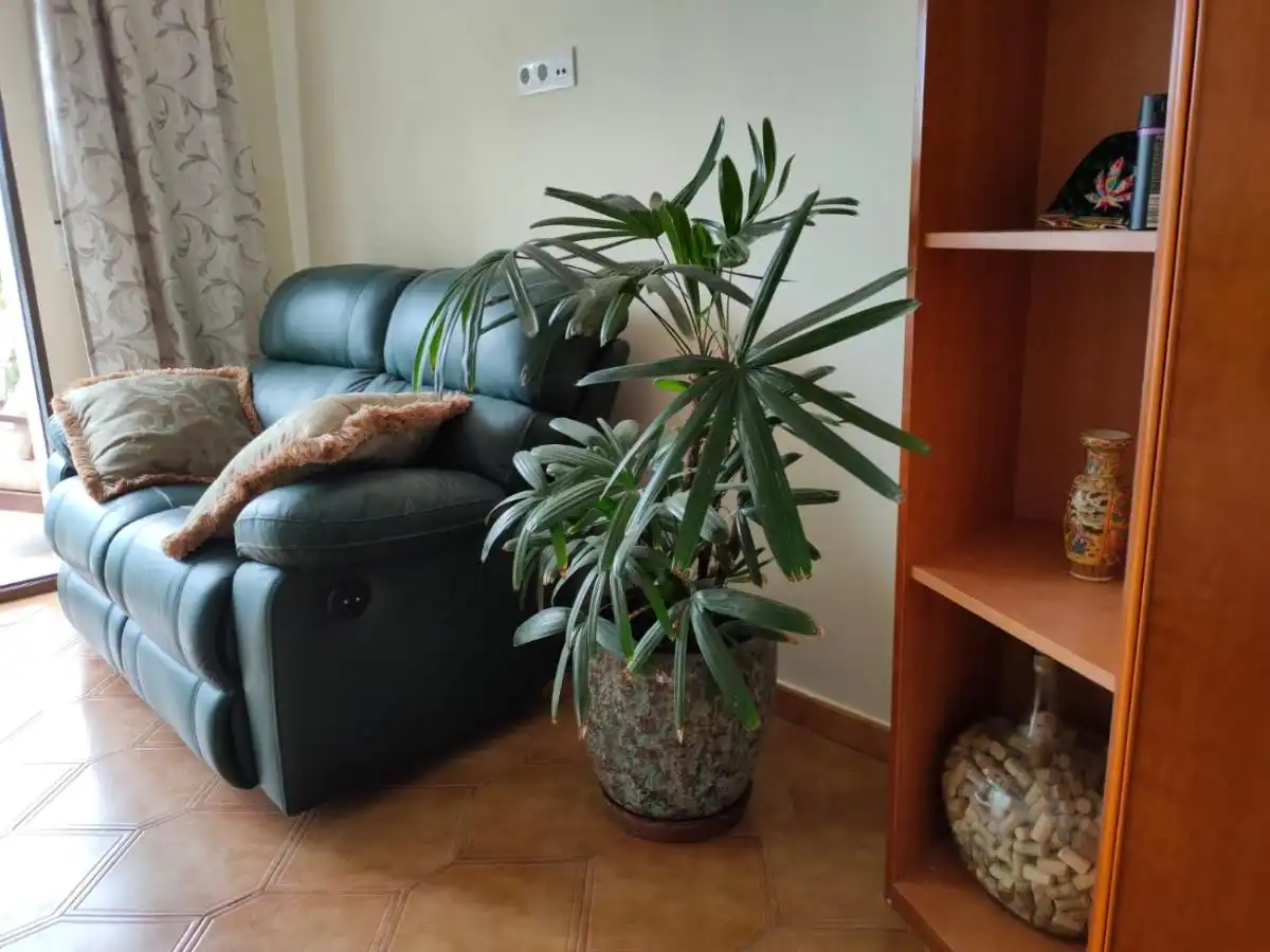 Casa con balcón en venta en Cap Martí - El Tossalet - Pinomar, imagen 13