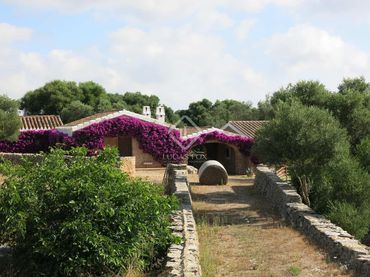Maison rustique avec piscine à vendre à Alaior poble