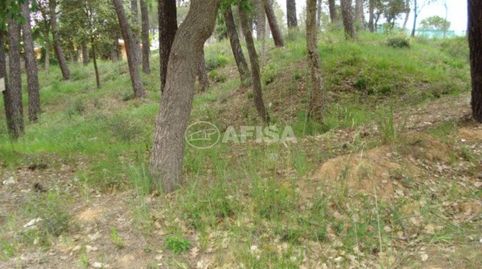 Parcela en venta, immagine 5