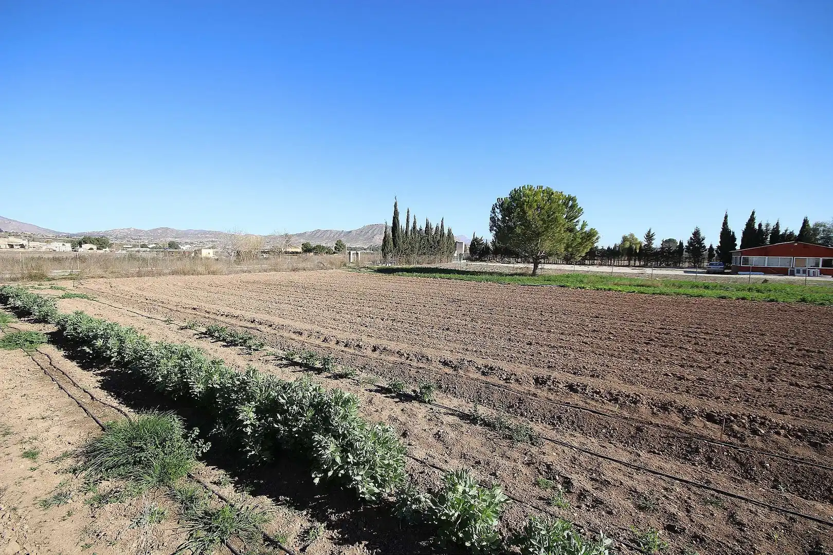 Villa in vendita a Pedanías Oeste, imagen 30