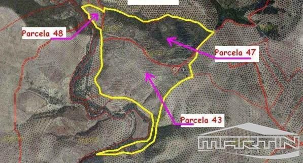 Land for sale in Paraje Villar de Don Lain, Jauja