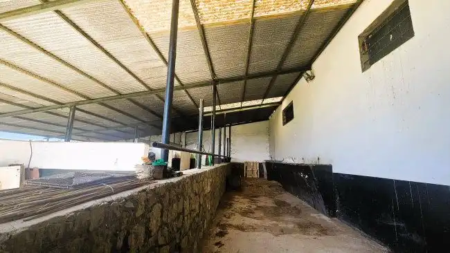 Country house for sale in Jimena de la Frontera, imagen 5