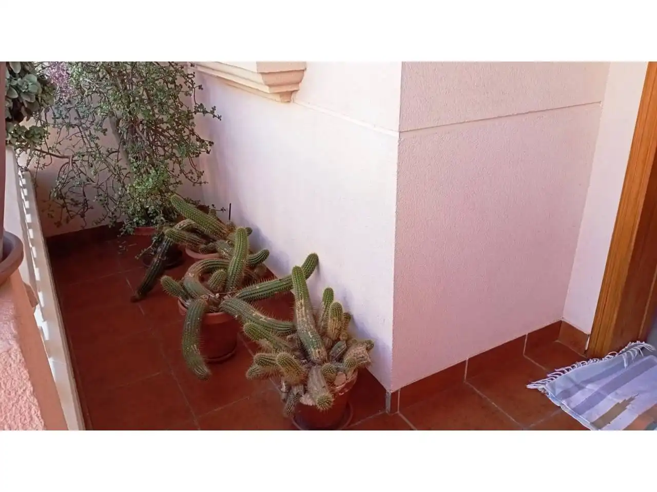 Casa a schiera con giardino in vendita a Calle Enrique Granados, imagen 12