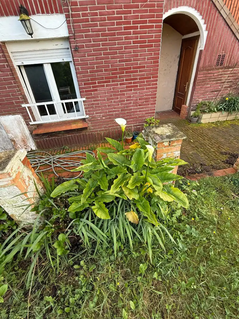 Jardí de Casa o xalet en venda en Oviedo  amb Jardí privat