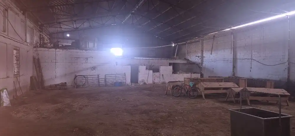 Industrial buildings for sale in Minaya