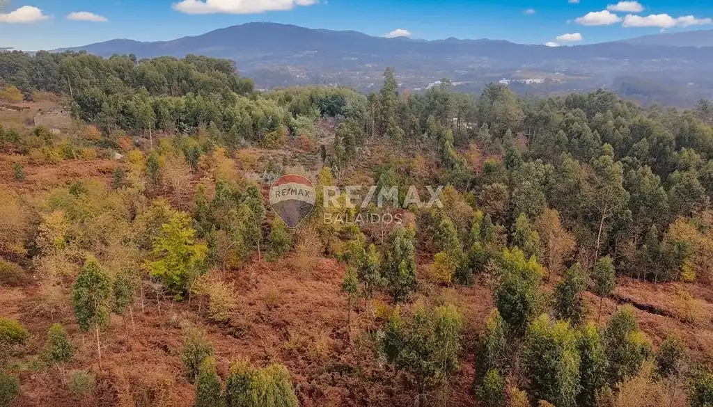 Terreny residencial en venda a Salvaterra de Miño, imagen 9