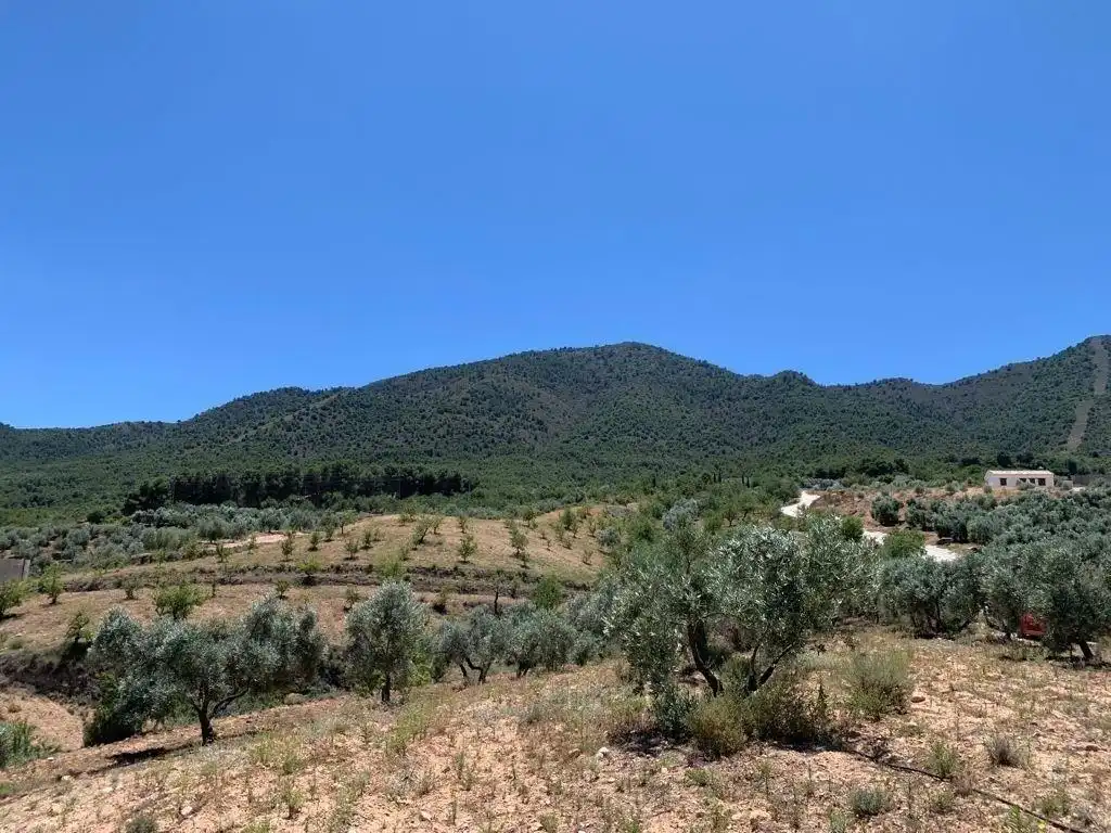 Terreno residencial en venta en Las Flores - Huerta, imagen 18