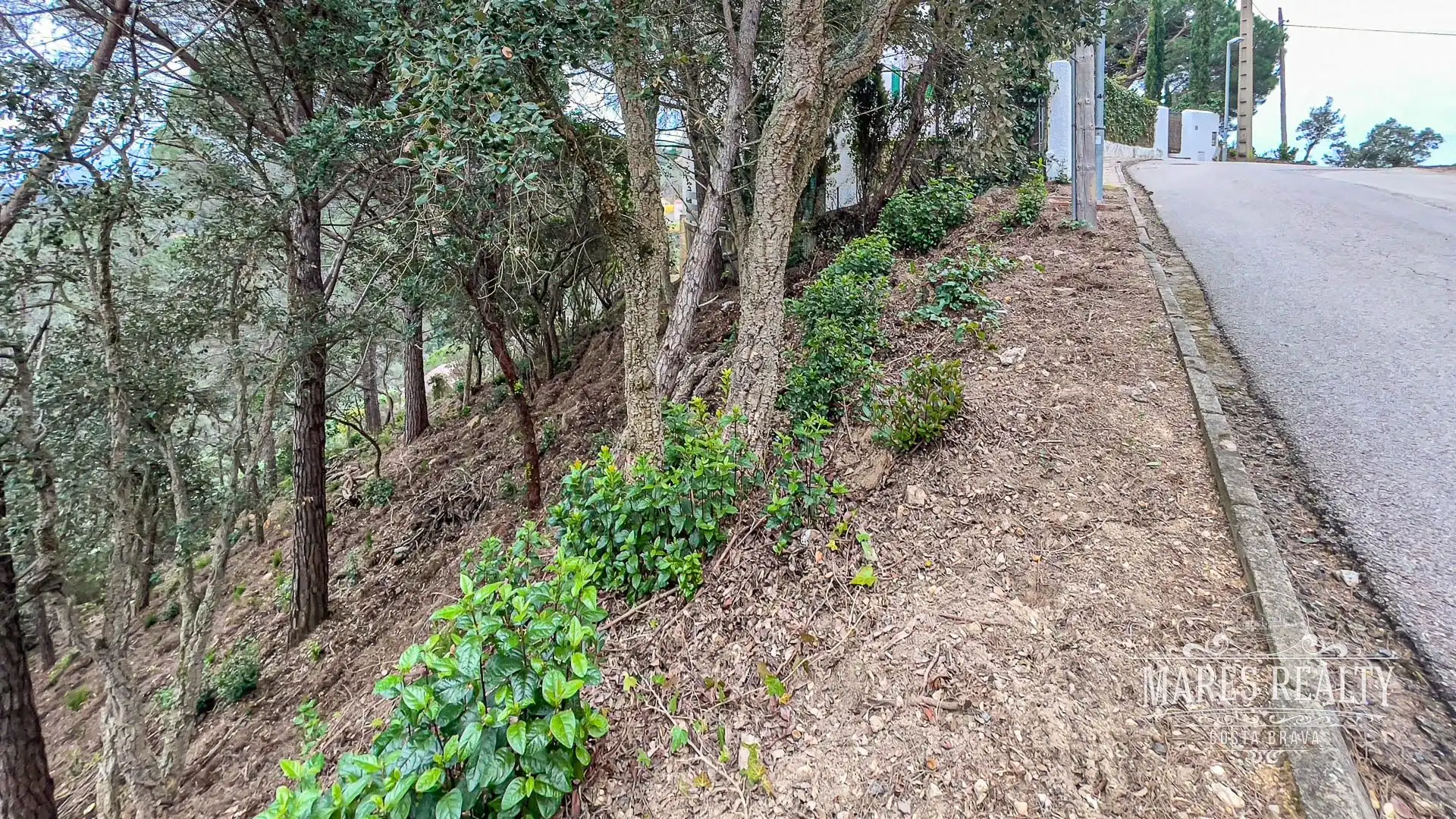 Terrenos y solares en venta en Serra Brava, imagen 6