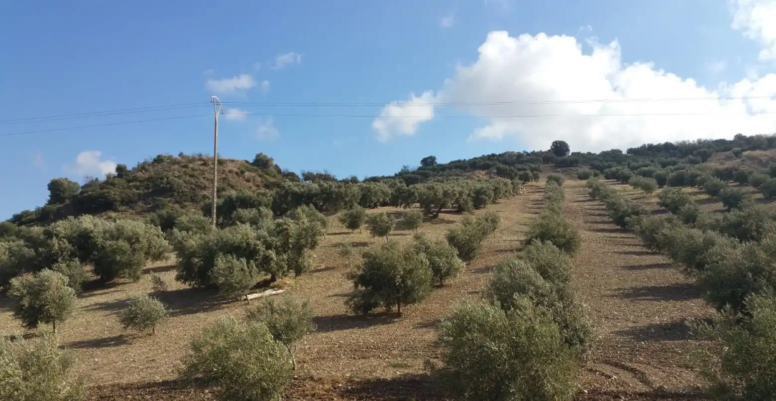 Finca rústica en venda en Antequera amb Traster