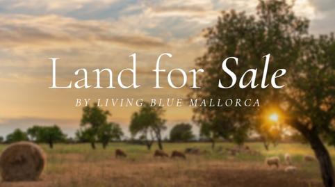 Foto 3 de Residencial en venda a Font de Sa Cala, Capdepera