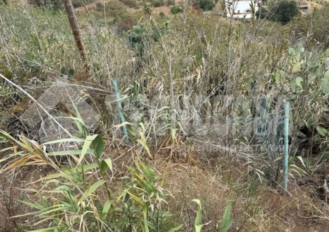 Terrain rustique à vendre à Los Alvarados - Fuente los Berros - Bandama, imagen 15