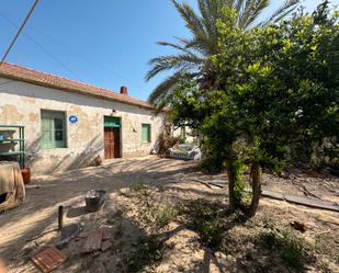 Vista exterior de Finca rústica en venda en Guardamar del Segura