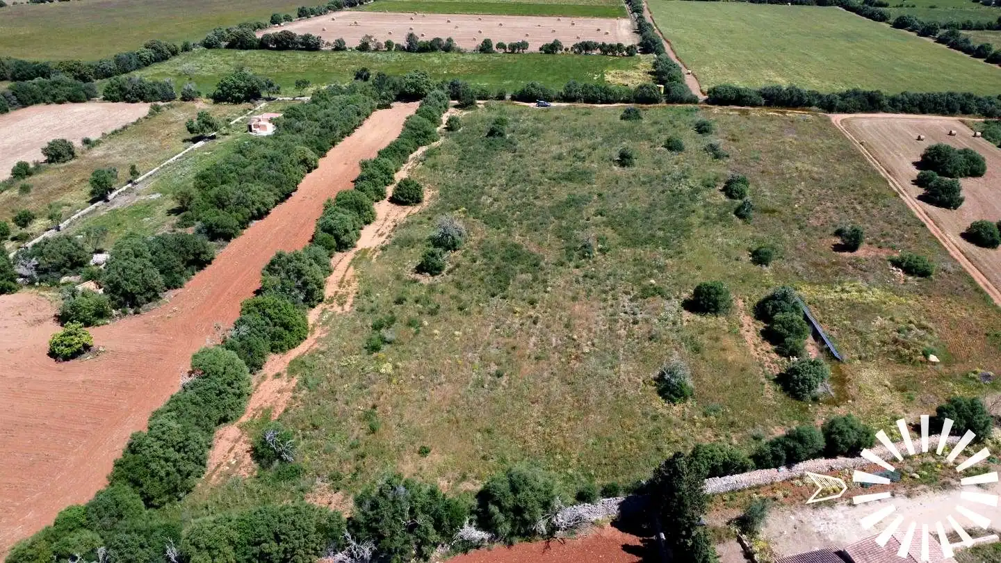 Rural land for sale in Pologino 3 Parcela 107, imagen 32