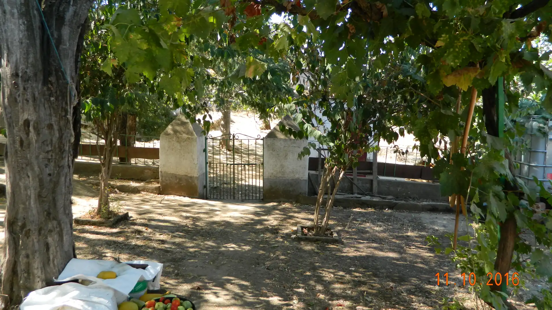 Rural land for sale in Calle Santa Ana 41, imagen 15