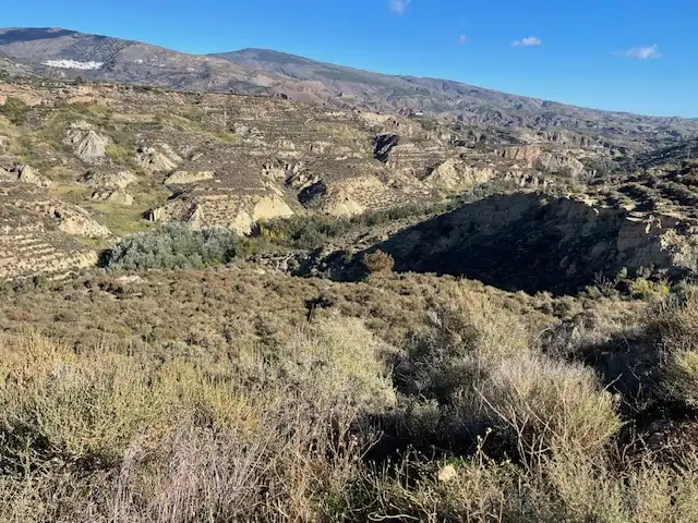 Vista exterior de Casa o xalet en venda en Padules amb Jardí privat, Terrassa i Traster