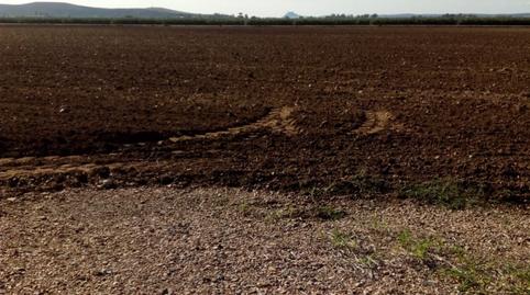 Photo 5 of Residential for sale in Encinarejo de Córdoba, Córdoba