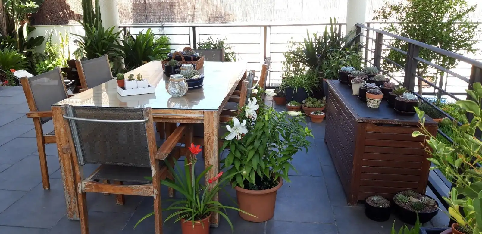 Terraza de Casa o chalet en venta en Algeciras con Aire acondicionado, Jardín privado y Terraza